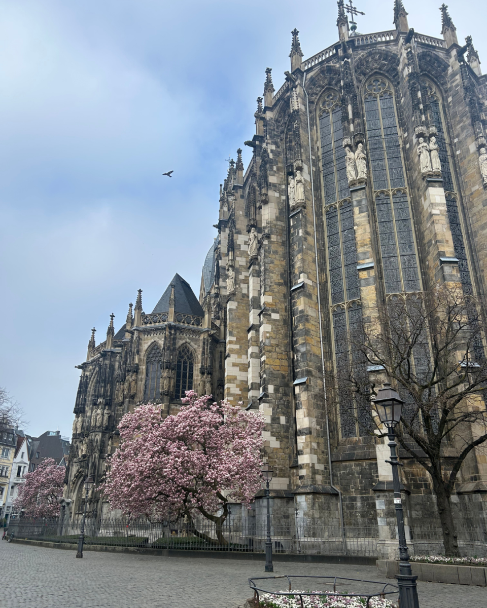 Exterior view of the historic Aachen Cathedral in Germany featuring Gothic architecture and blooming pink magnolia trees.