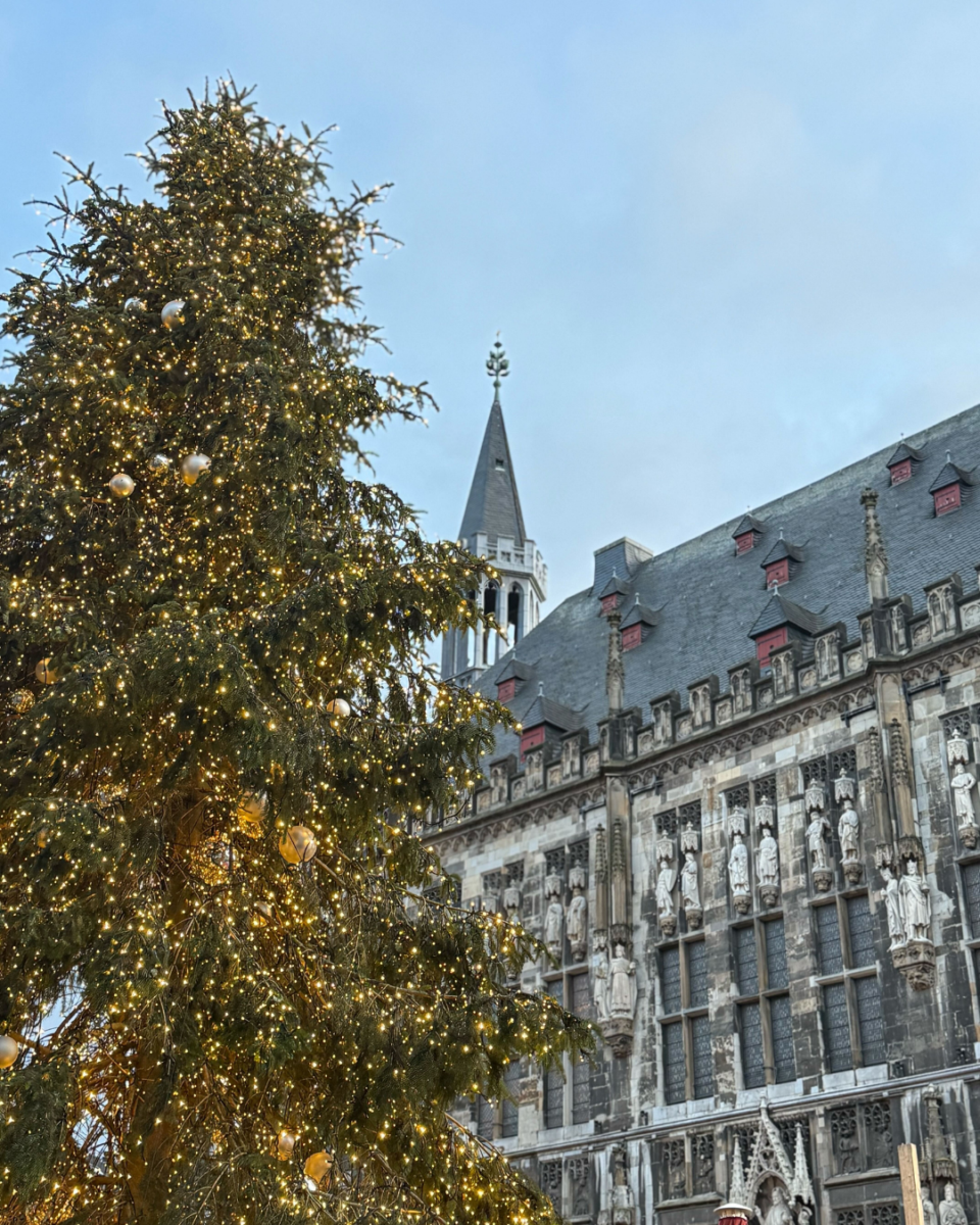 Large Christmas tree lit with golden lights in front of the historic Aachen Town Hall (Rathaus) at dusk.
