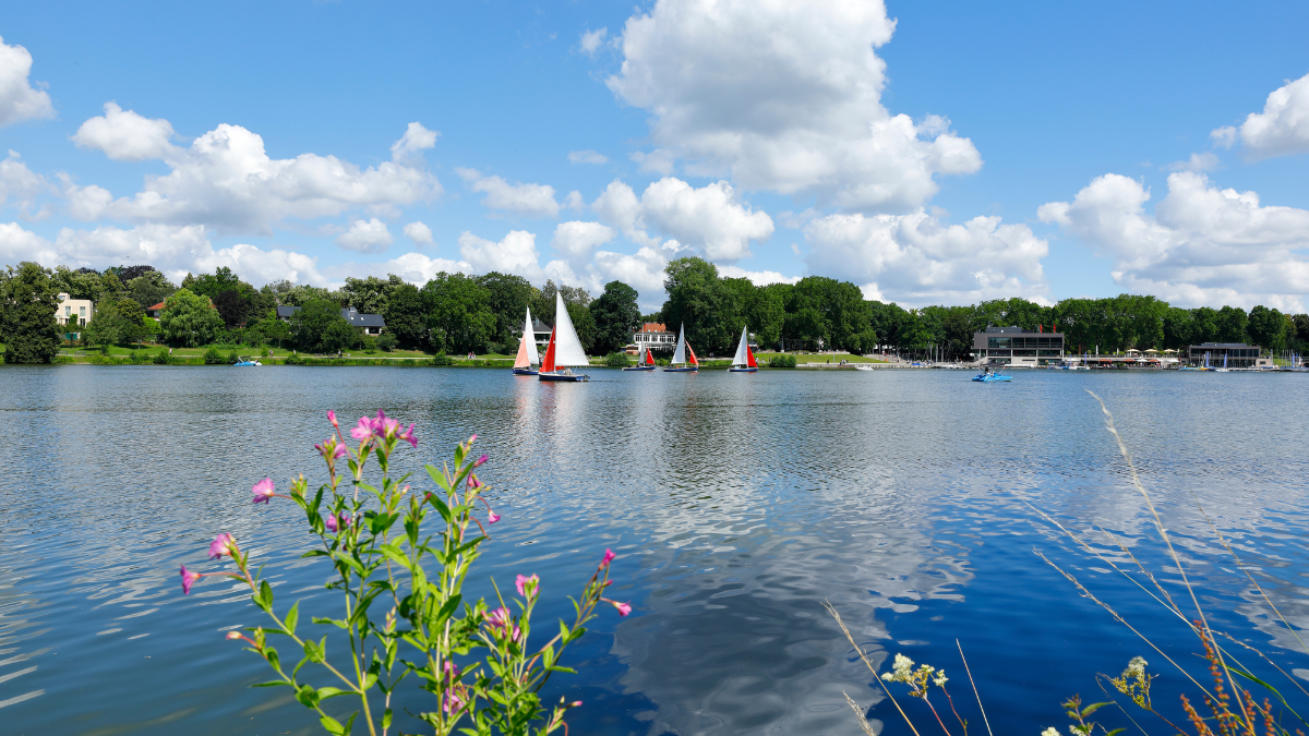 Scenic view of Aasee lake in Münster, Germany, on a sunny day with several small sailboats on the water, lush green trees lining the banks, and wildflowers in the foreground.