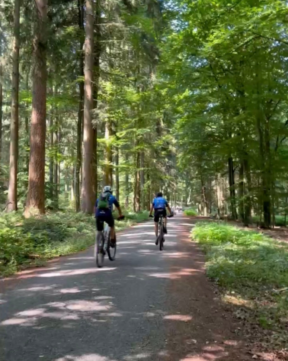 Two cyclists riding mountain bikes away from the camera on a paved path through a tall, sun-dappled green forest.