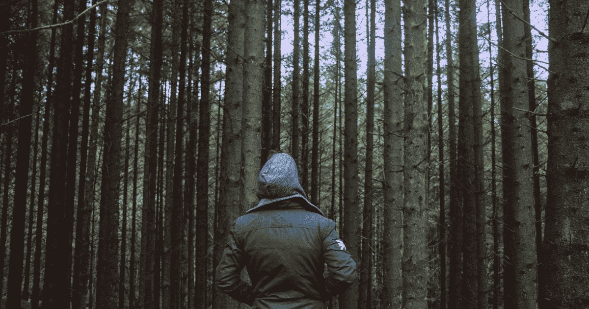  A person in a hooded jacket stands with their back to the viewer, looking into a dense, dark forest.