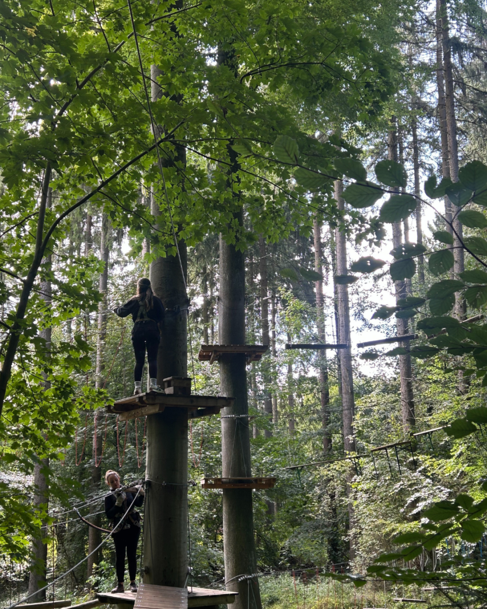 Two people on a high ropes course in a dense forest, climbing between tall trees on a sunny day.